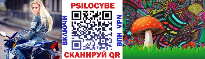 Псилоцибиновые грибы ЛСД  Купить закладки  Талдом 